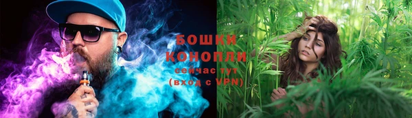прущие грибы Вязьма