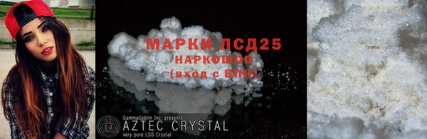 прущие грибы Вязьма