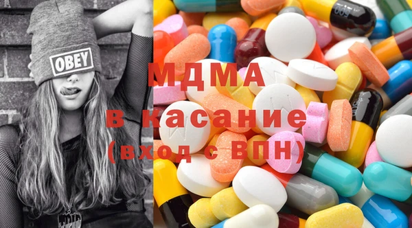 прущие грибы Вязьма