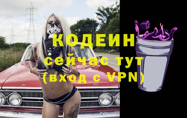 прущие грибы Вязьма