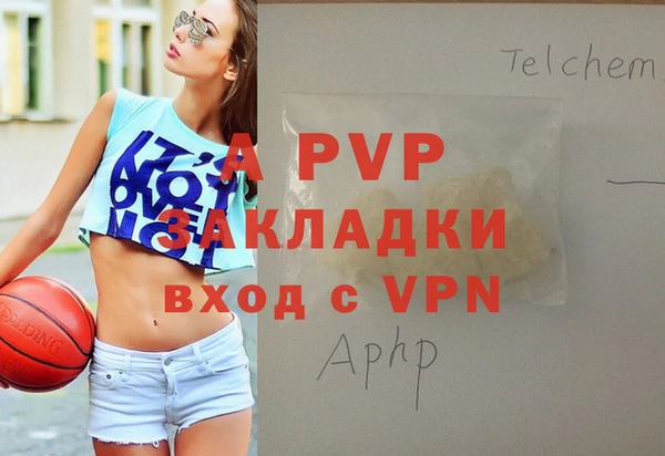 прущие грибы Вязьма
