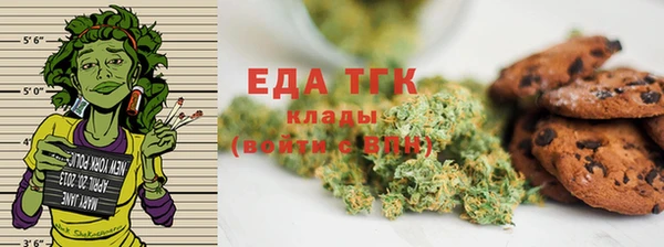 прущие грибы Вязьма